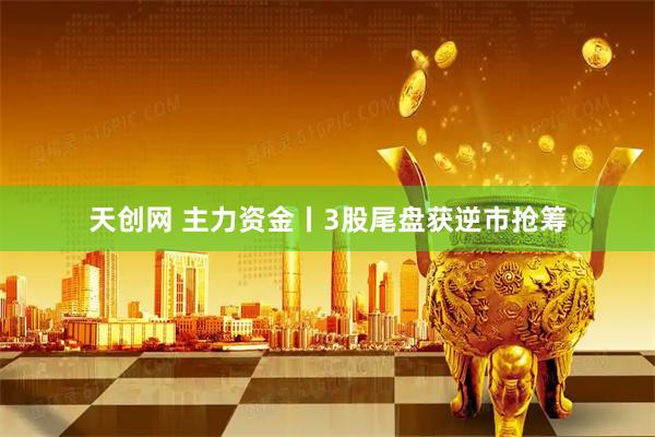 天创网 主力资金丨3股尾盘获逆市抢筹