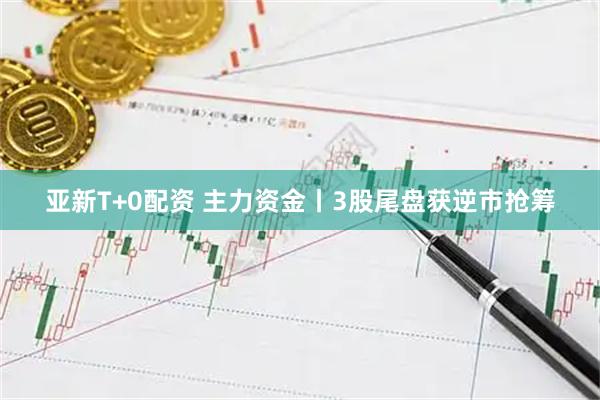亚新T+0配资 主力资金丨3股尾盘获逆市抢筹
