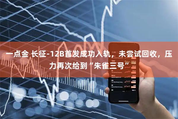 一点金 长征-12B首发成功入轨，未尝试回收，压力再次给到“朱雀三号”